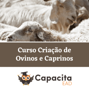 Curso Criação de Ovinos e Caprinos