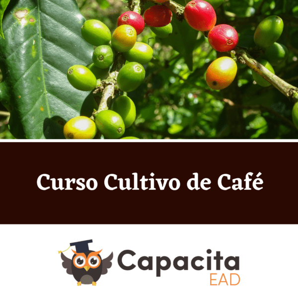 Curso Cultivo de Café