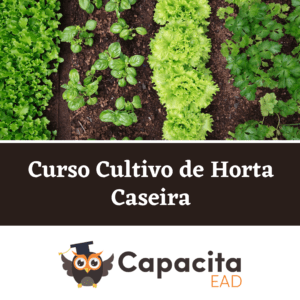 Curso Cultivo de Horta Caseira