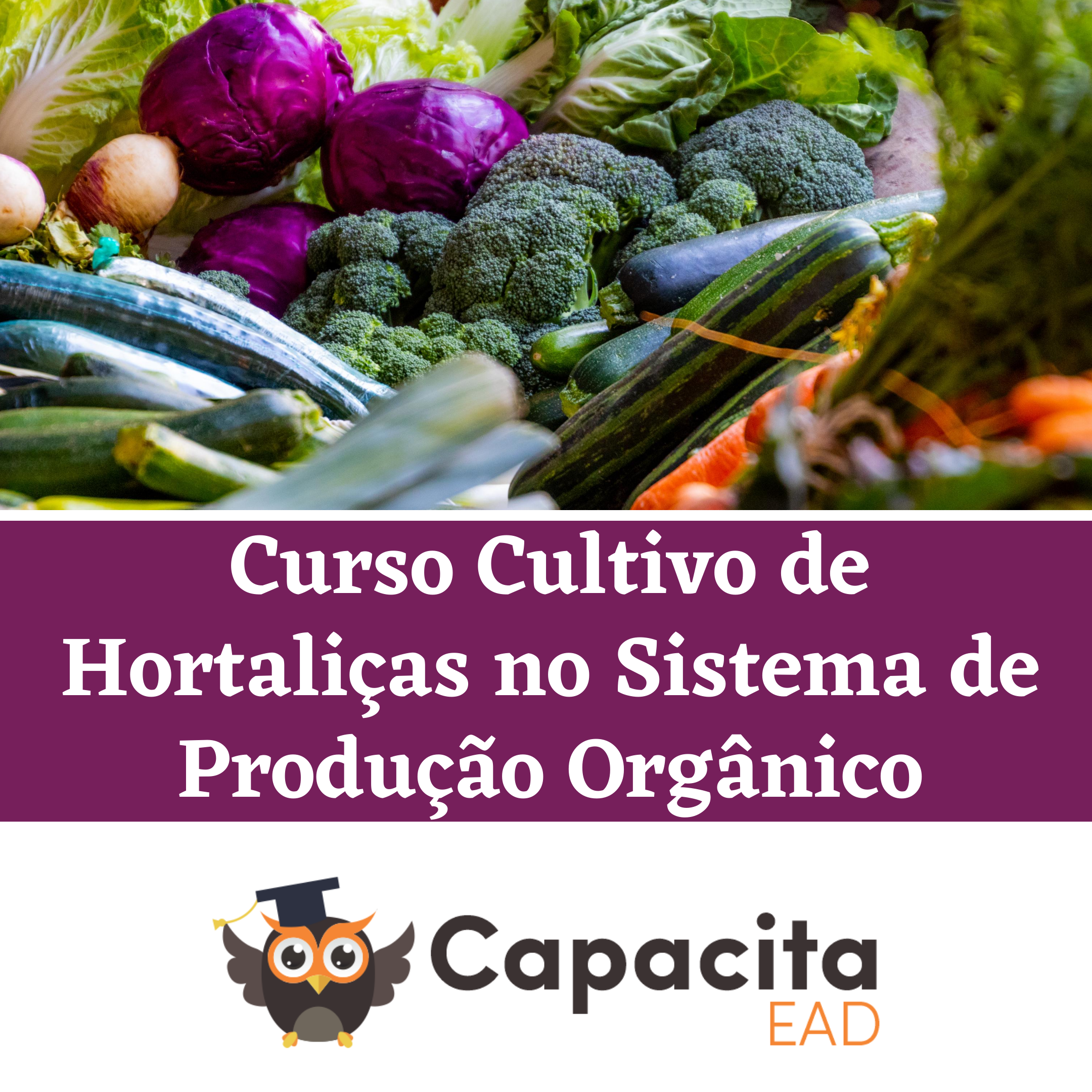 Curso Cultivo de Hortaliças no Sistema de Produção Orgânico