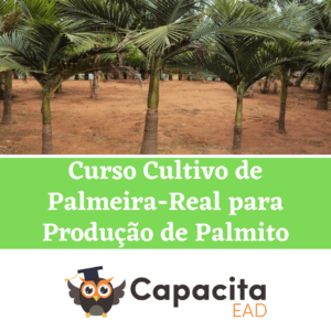Curso Cultivo de Palmeira-Real para Produção de Palmito