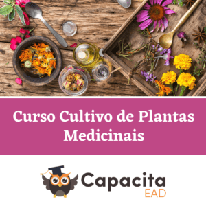 Curso Cultivo de Plantas Medicinais