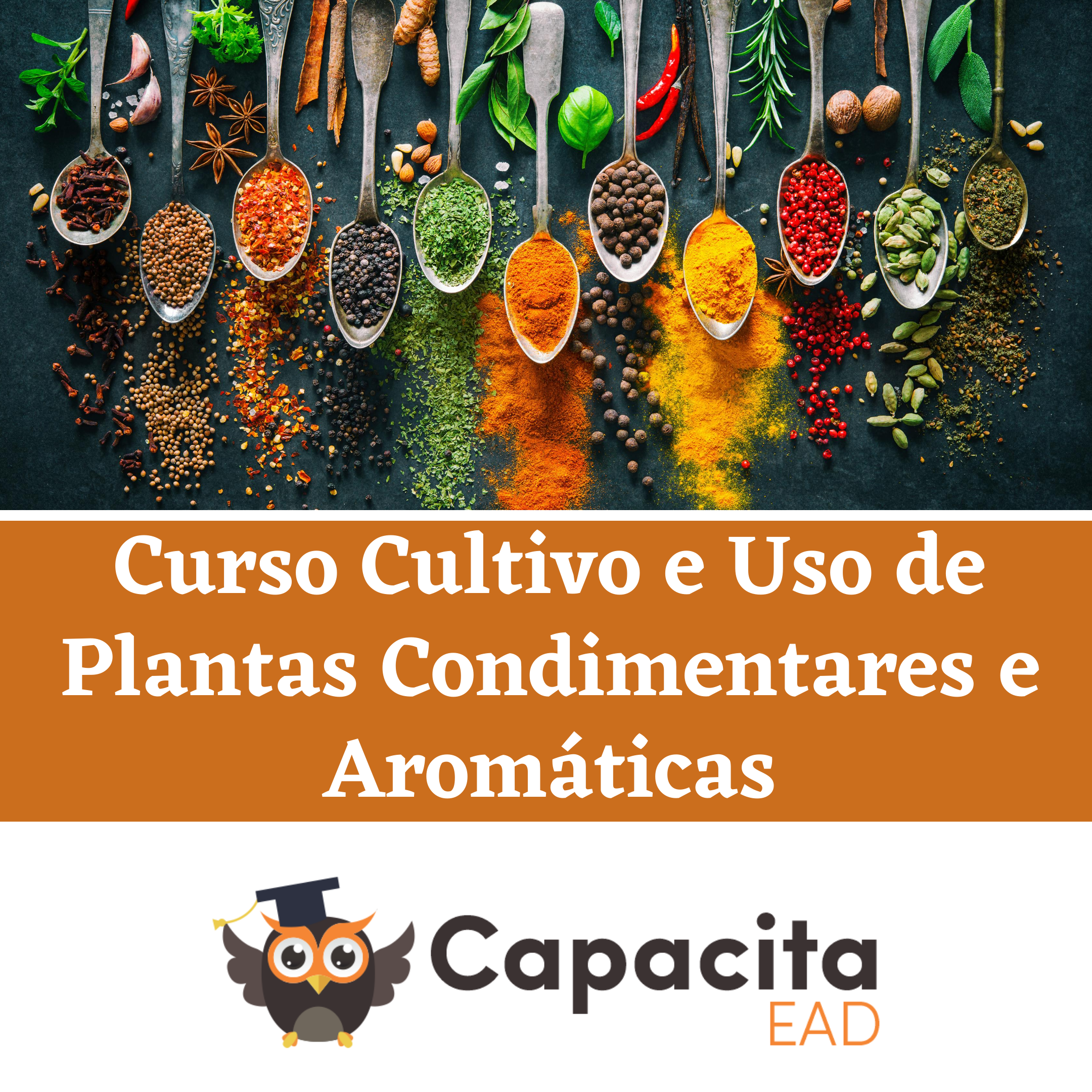 Curso Cultivo e Uso de Plantas Condimentares e Aromáticas